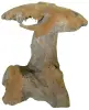 Artikelbild 3 des Artikels “Pilz, Höhe ca. 40 cm. Hergestellt aus Teakholz Wurzel (Plantage) “